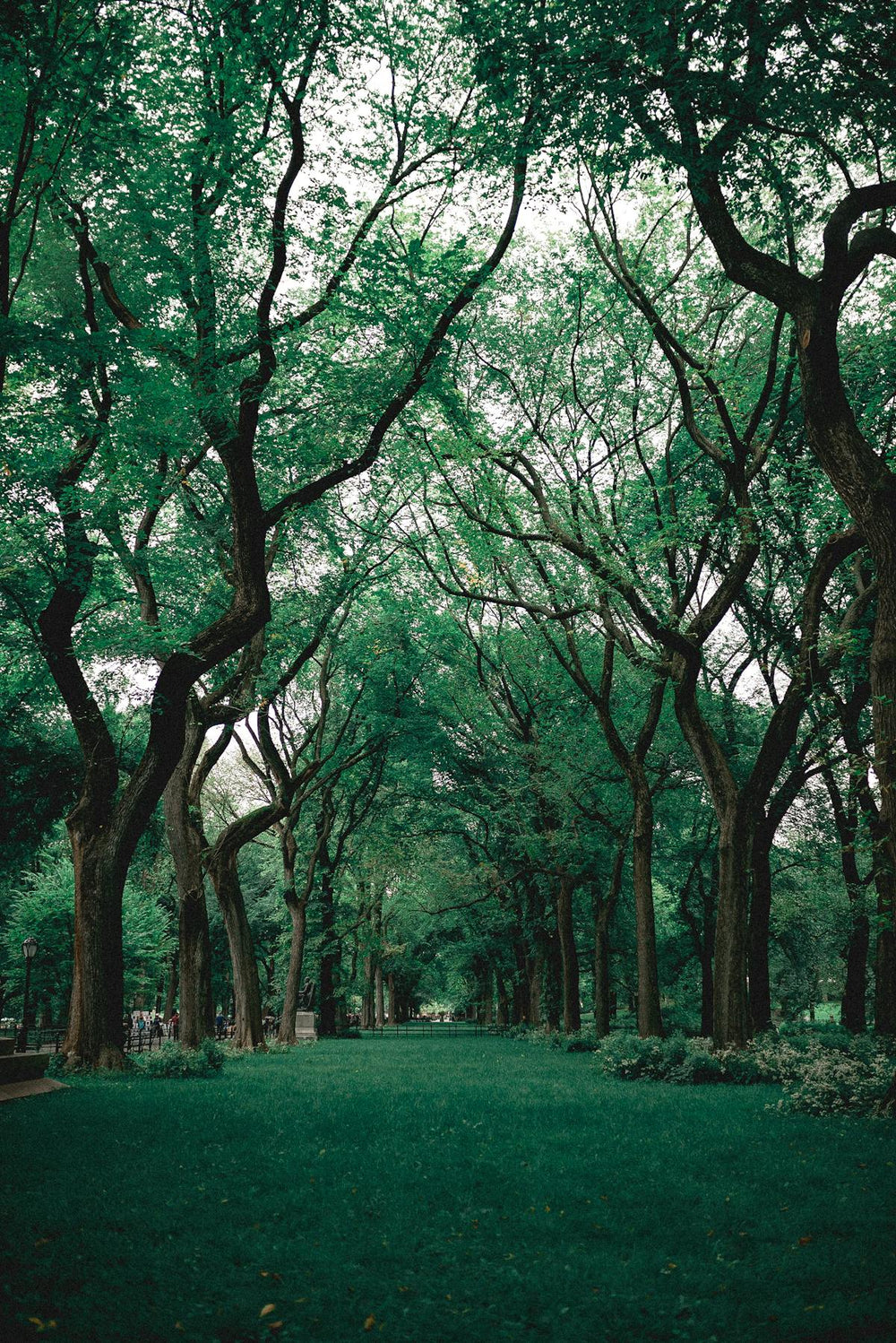 Spiritual Ecology: Why Inner Work and Outer Work Are the Same Work
