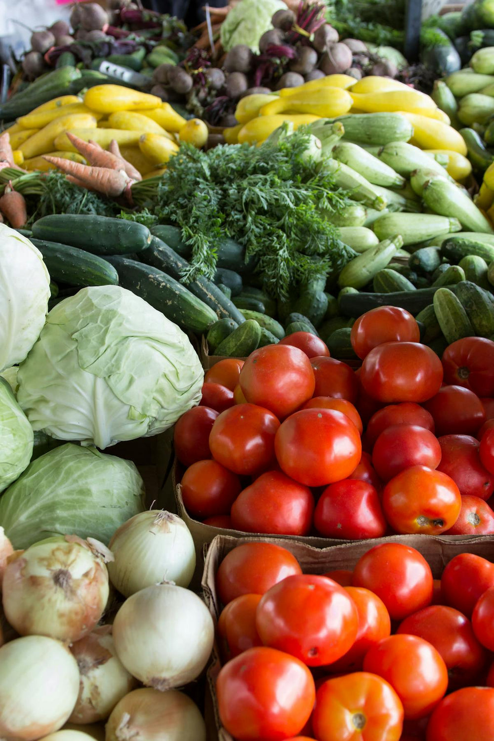 What Is Regenerative Agriculture — And Why Does It Matter More Than "Organic"?