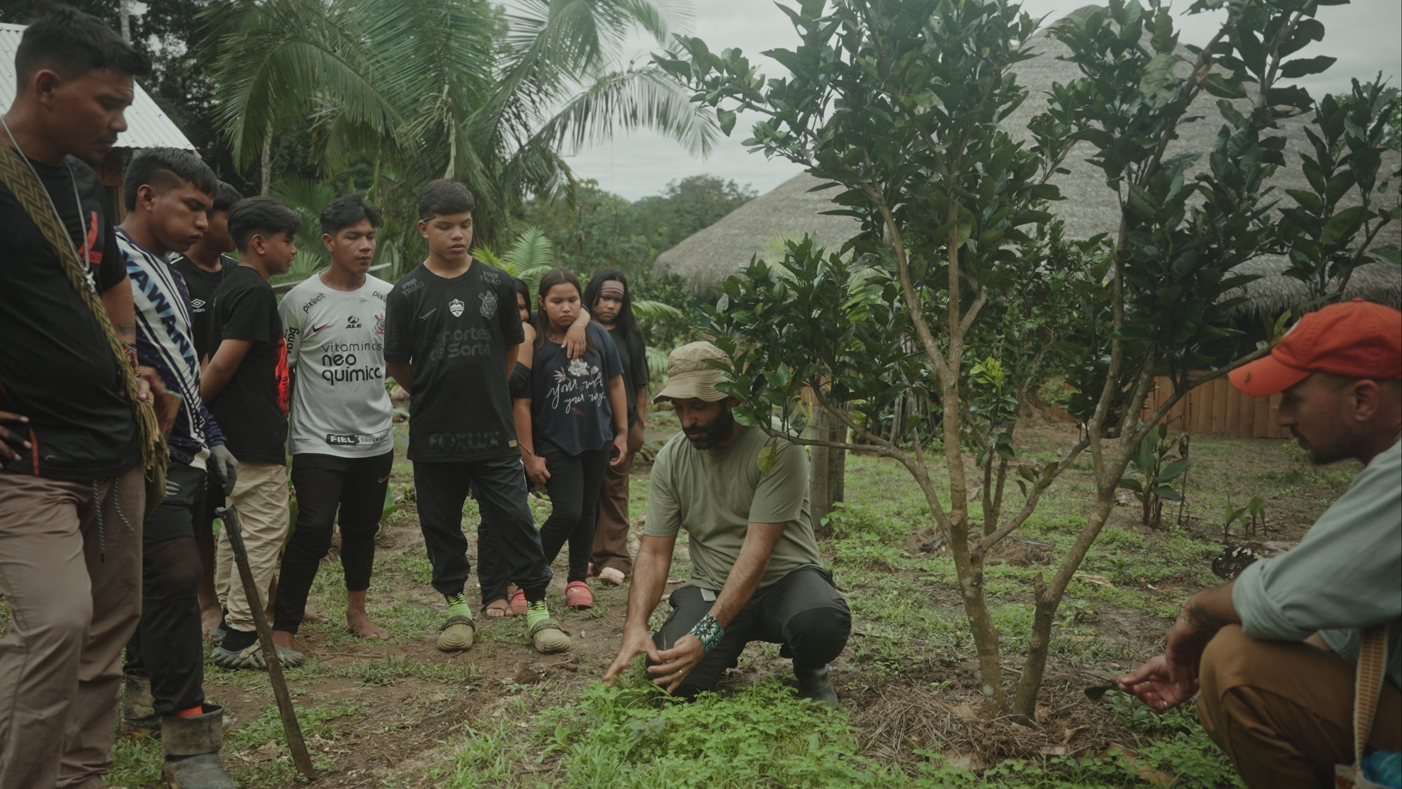 Project yawanawa